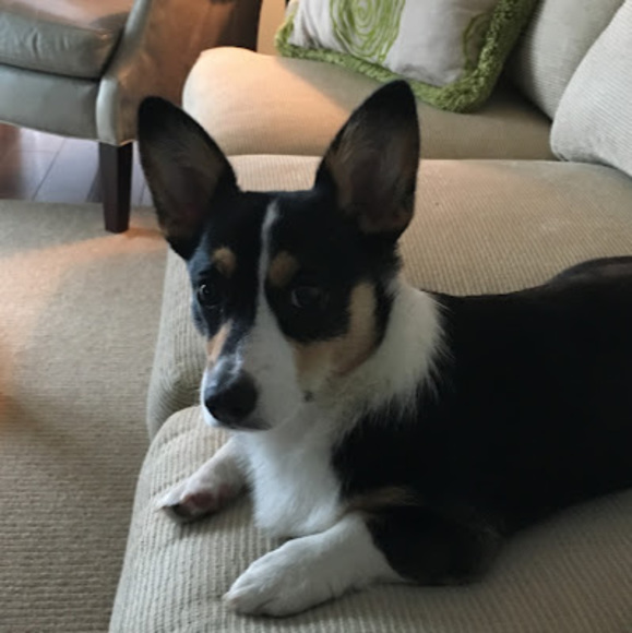 Meet your Posher, Mary - Picture 1 of 1